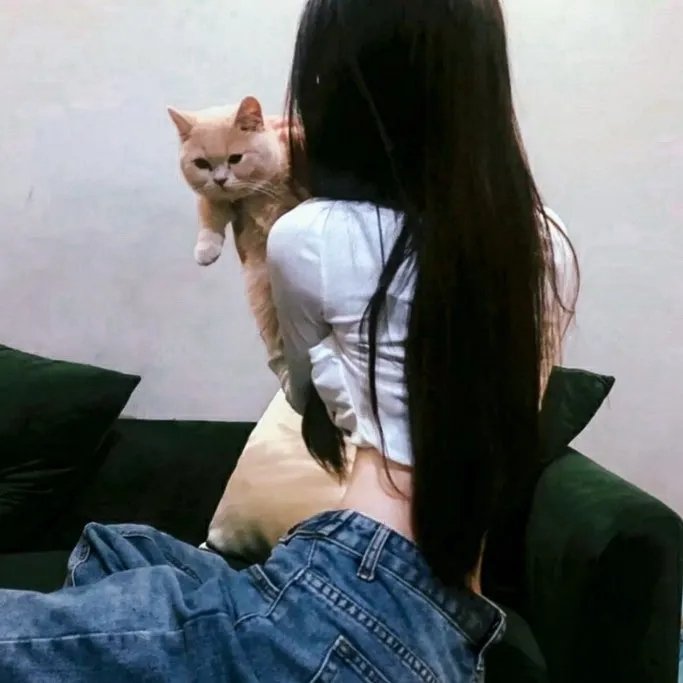 紧急降落